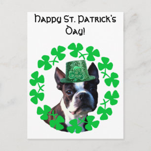 Carte Postale Joyeux St. Patricks Day Boston Terrier
