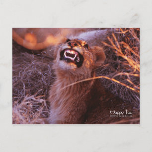 Carte Postale Joyeux Tau, Lion Cub souriant