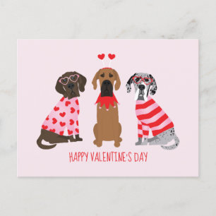 Carte Postale Joyeux Valentines Day Chiens de Danse