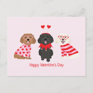 Carte Postale Joyeux Valentines Day Chiens de Maltipoo