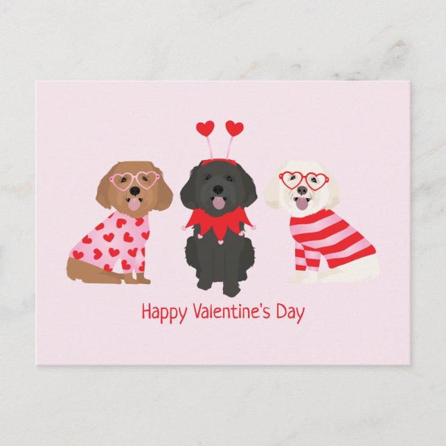 Carte Postale Joyeux Valentines Day Chiens de Maltipoo (Devant)