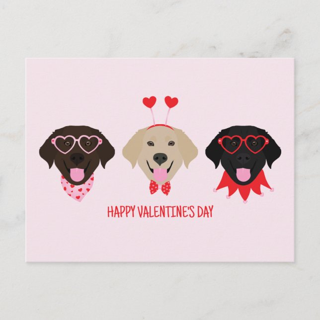 Carte Postale Joyeux Valentines Day Labrador Retriever Dogs (Devant)