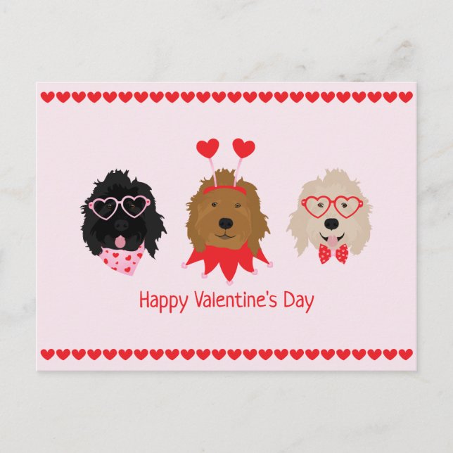 Carte Postale Joyeux Valentines Day Mini Goldendoodle Chiens (Devant)