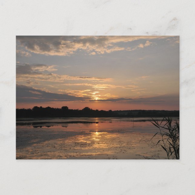 Carte Postale Joys d'été, coucher de soleil dans le comté de som (Devant)