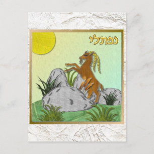 Carte Postale Judaïque 12 tribus Israël Naphtali