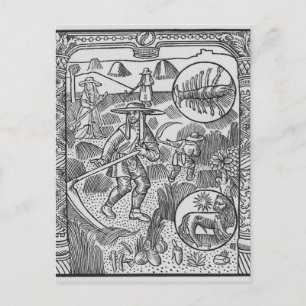 Carte Postale Juillet, confection de foin, Cancer