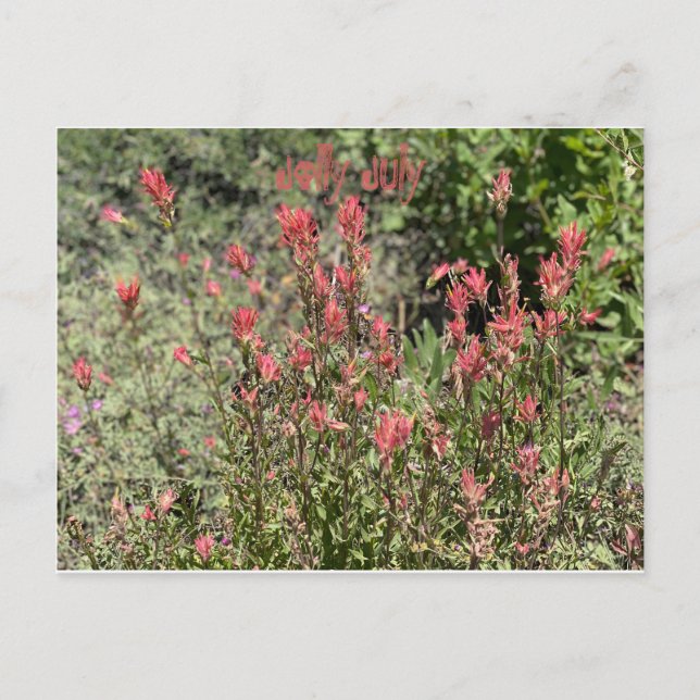 Carte Postale Juillet joyeux (Devant)