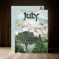 Juillet Mois Arbres Fir Pomme Elm