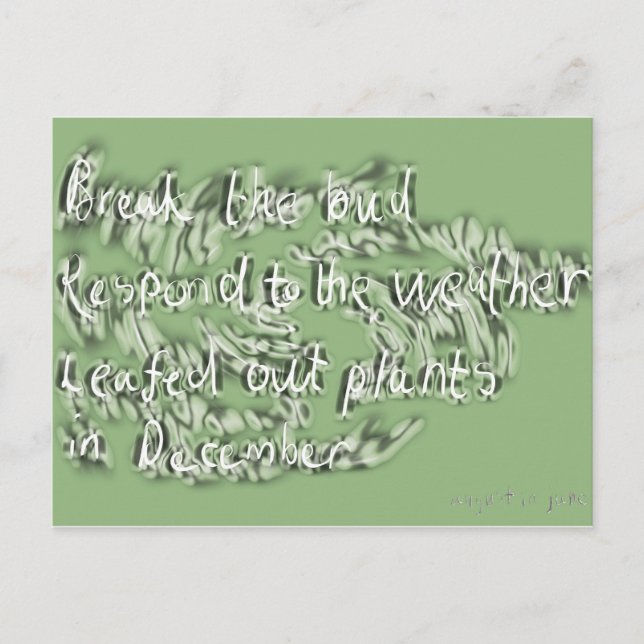 Carte Postale juin (Devant)