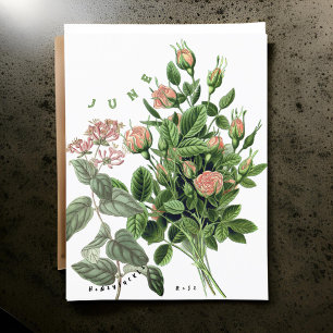 Carte Postale Juin Mois Fleurs Rose de chou