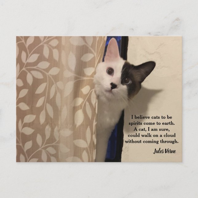 Carte Postale Jules Verne Cat Quote (Devant)