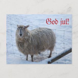 Carte Postale Julkort - Fåret Fjun
