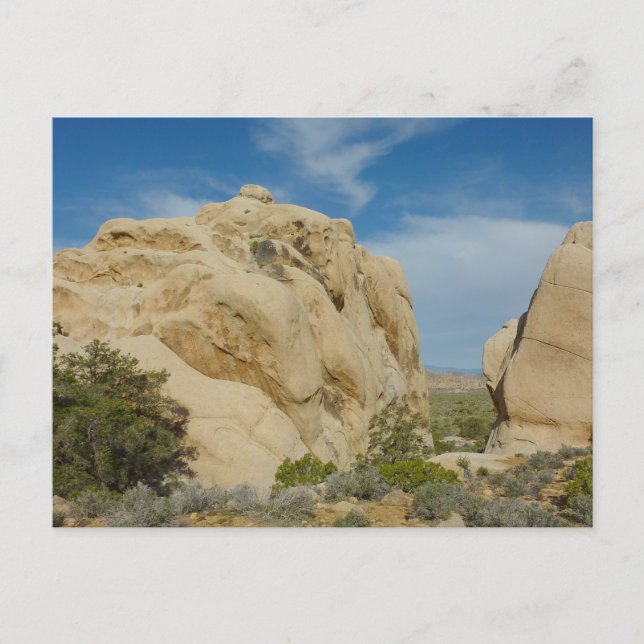 Carte Postale Jumbo Rocks à Joshua Tree National Park (Devant)