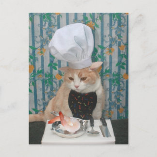 Carte Postale Jumbo Shrimpies !