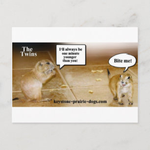 Carte Postale Jumeaux