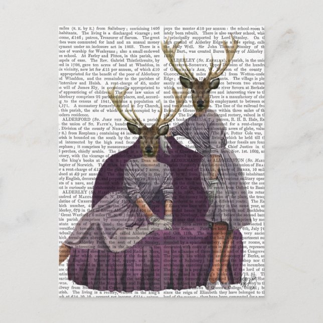 Carte Postale Jumeaux de cerfs en violet (Devant)