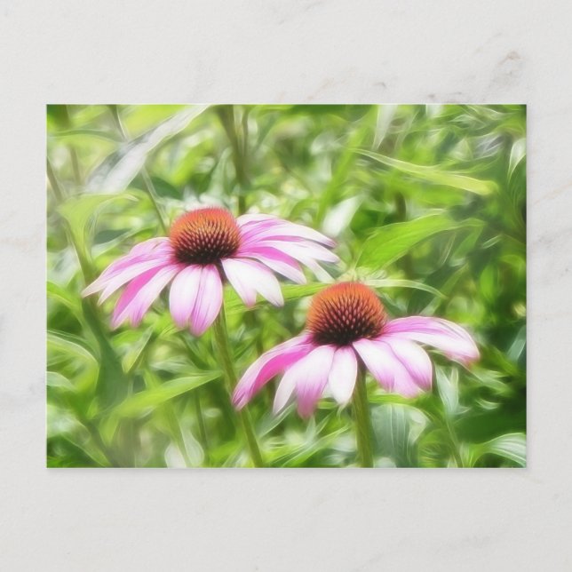 Carte Postale Jumeaux de coneflower (Devant)