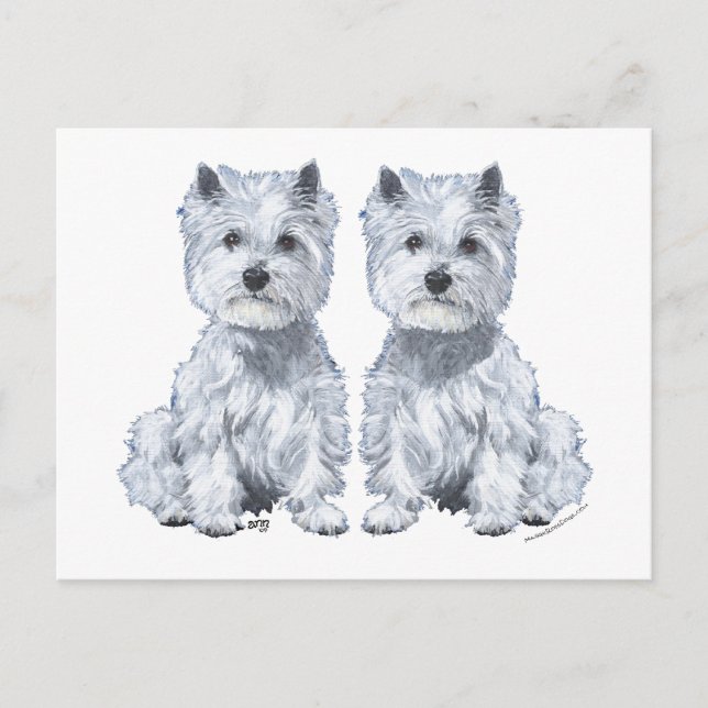 Carte Postale Jumeaux Terrier West Highland White ! (Devant)