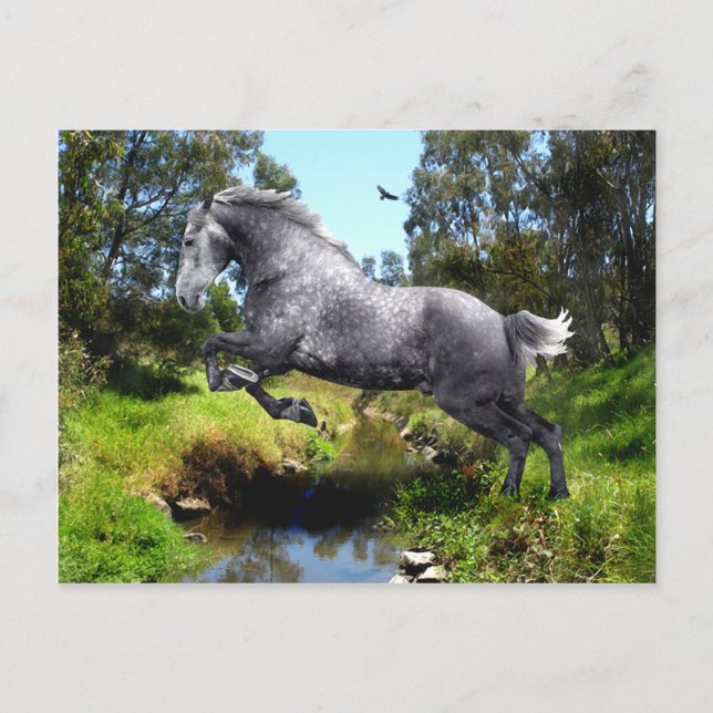 Carte postale "Jumping The Creek" (Devant)