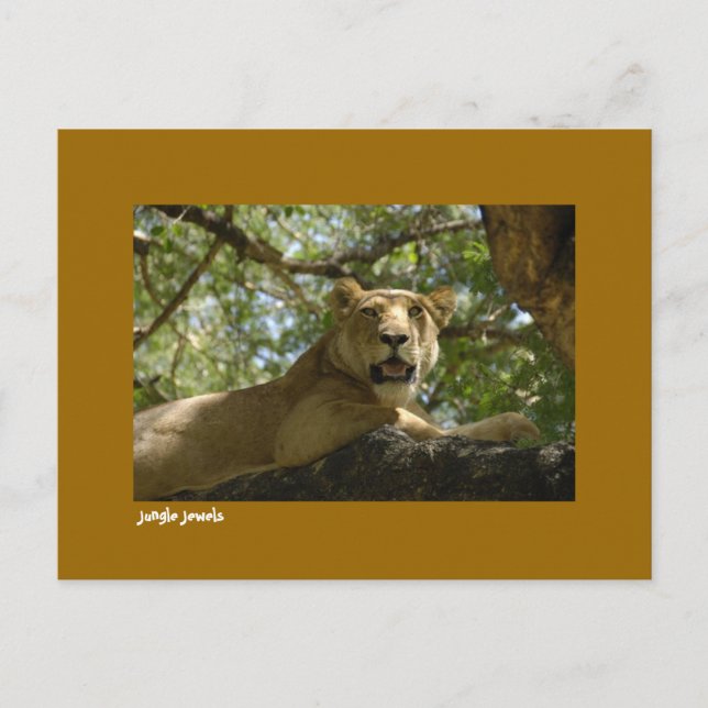 Carte postale Jungle Jewels (Devant)