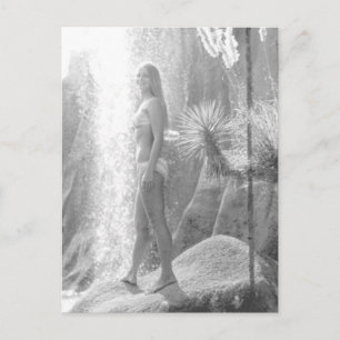 Carte Postale Jungle Land in Panama City Bikini photo fille