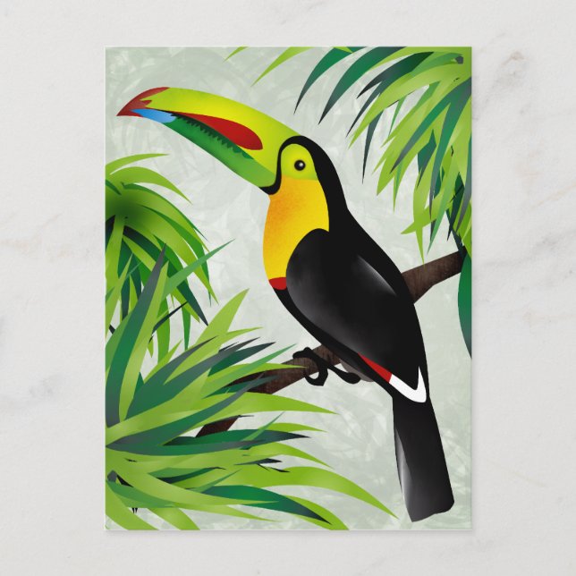 Carte Postale Jungle Toucan (Devant)
