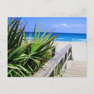 Carte Postale Juno Beach Floride