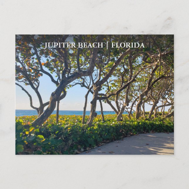 Carte postale Jupiter Florida Ocean Pier et Sea Gr (Devant)