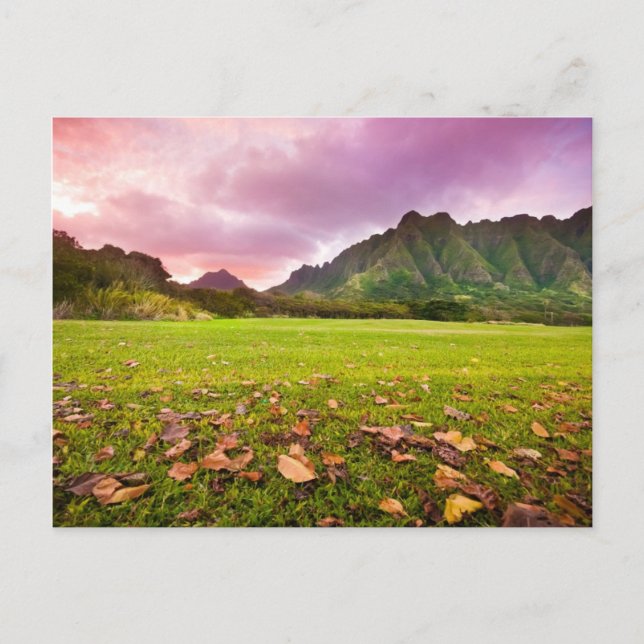 Carte Postale Jurassic Sunset (Devant)