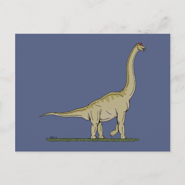 Carte Postale Jurassique Dinosaure Brachiosaurus (Devant)