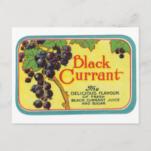 Carte Postale Jus de currant noir Berries foncées Art Étiquette 