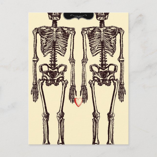 Carte Postale Jusqu'à ce que la mort nous sépare (Devant)