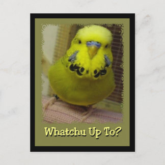 Carte Postale Jusqu'À Quoi ?