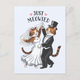 Carte Postale Just Meowied Couples Mariés Chat Drôle de Mariage