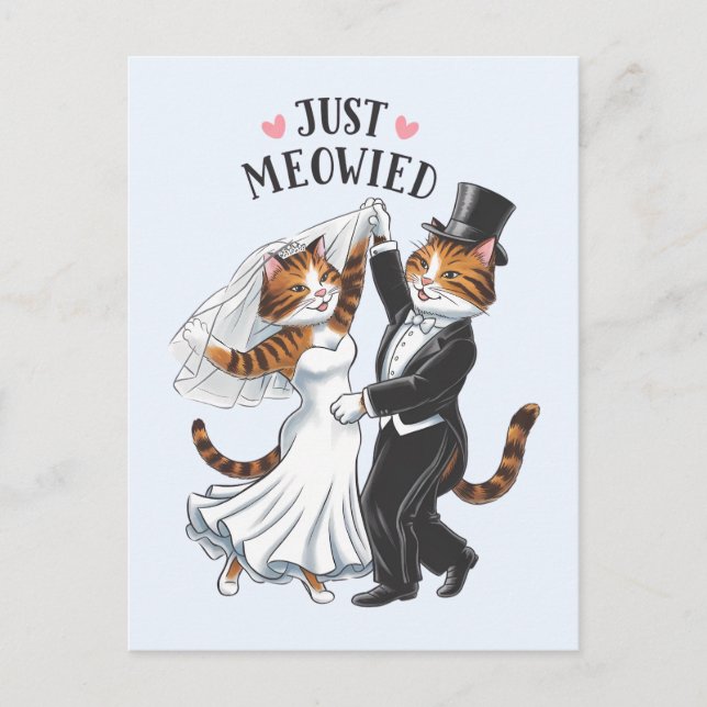 Carte Postale Just Meowied Couples Mariés Chat Drôle de Mariage (Devant)
