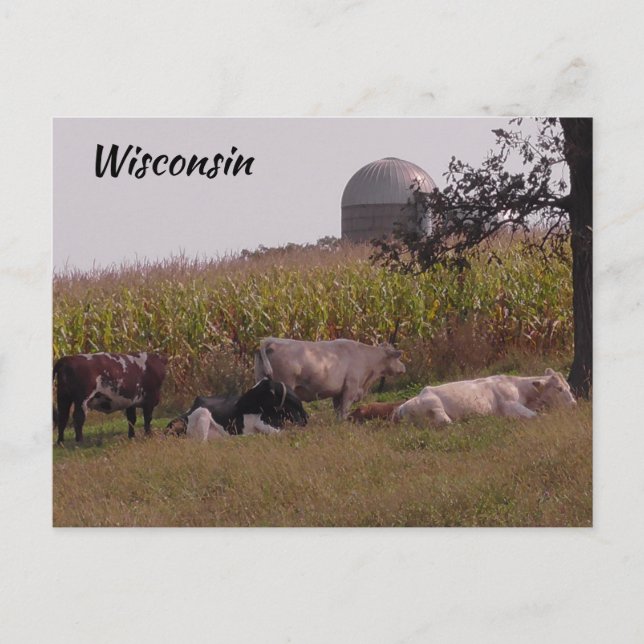 Carte Postale Just Saying Hi de Wisconsin Vaches et ferme (Devant)