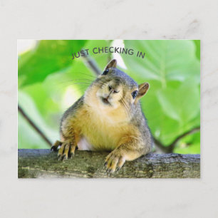 Carte Postale Juste Archiver