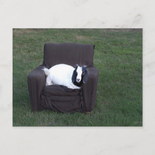 Carte Postale Juste détendez-vous