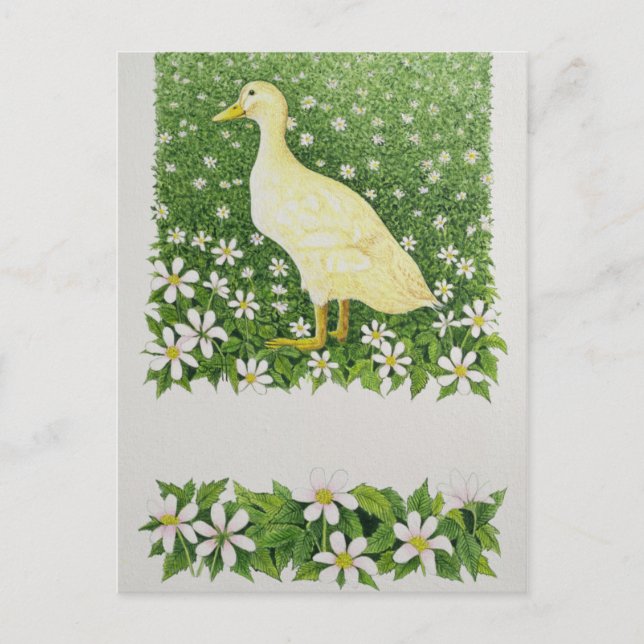 Carte Postale Juste en regardant (Devant)