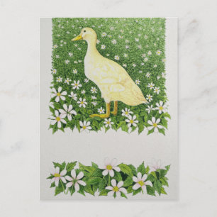 Carte Postale Juste en regardant