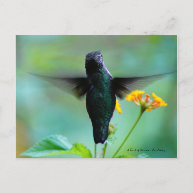Carte Postale Juste fredonner en passant pour dire bonjour ! (Devant)