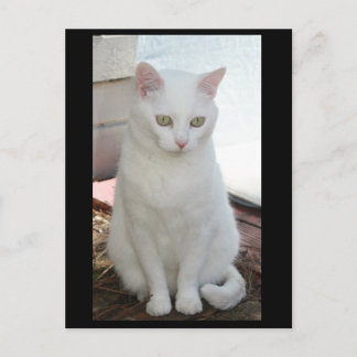 Carte Postale Juste Missy