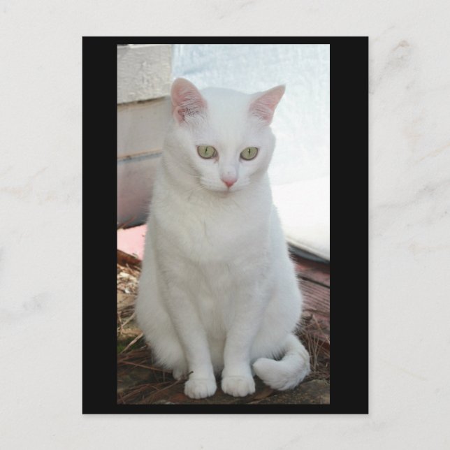 Carte Postale Juste Missy (Devant)