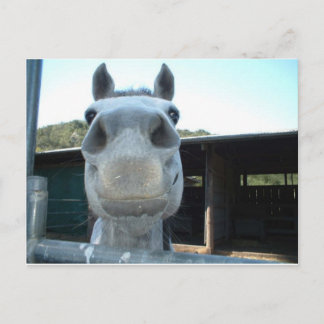 Carte Postale Juste pour aujourd'hui