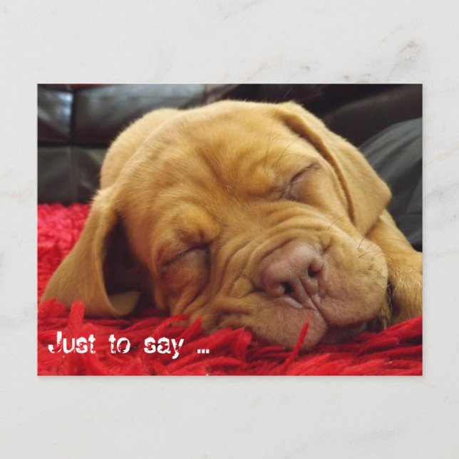 Carte Postale Juste pour dire... (Devant)