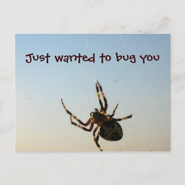 Carte Postale Juste pour vous embêter (Devant)