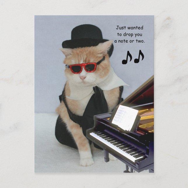 Carte Postale Juste Recherché pour vous laisser tomber une note (Devant)