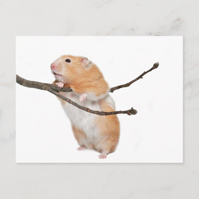 Carte Postale juste rester (Devant)