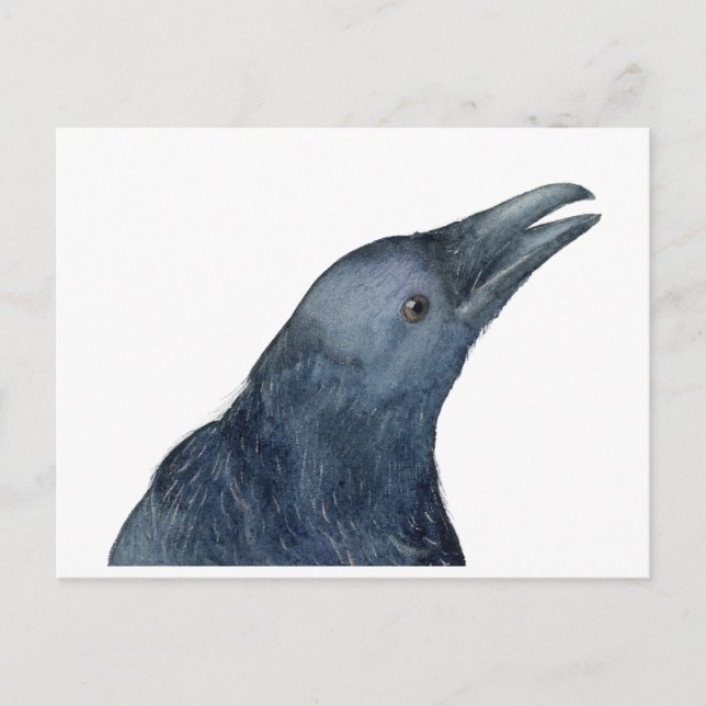 Carte Postale Juste un croassement amical (Devant)