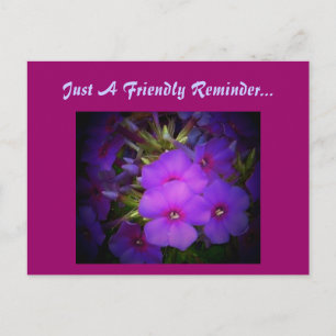 Carte Postale Juste Un Rappel Amical...Carte Postale